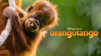 Cena 6 de Orangotango