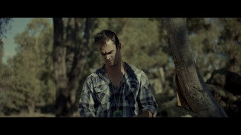 #5 Lurking Woods