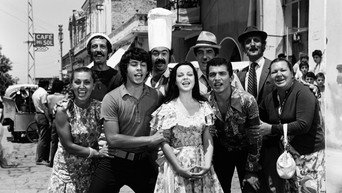Life is Beautiful When You Are in Love (1971)