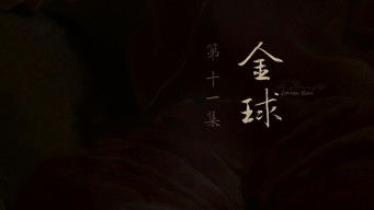 Episode 11 — Golden Ball