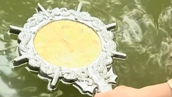 Episode 24 — Episode 24