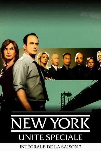 New York Unité Spéciale - S7 - Poster