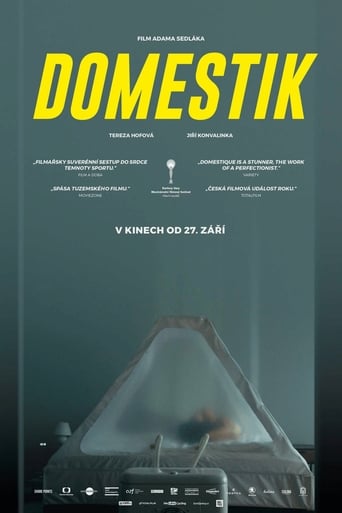 Poster of Domestik