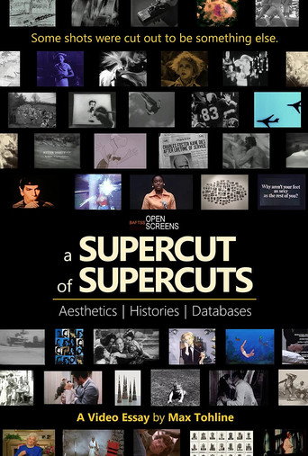 A Supercut of Supercuts: Aesthetics, Histories, Databases