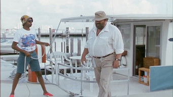 第5話：Operation Condor