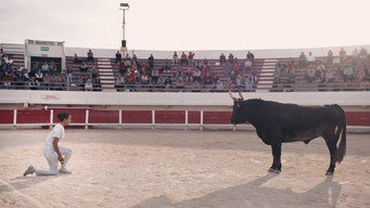 Animale (2024)