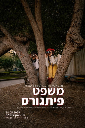 משפט פיתוגרס plakat