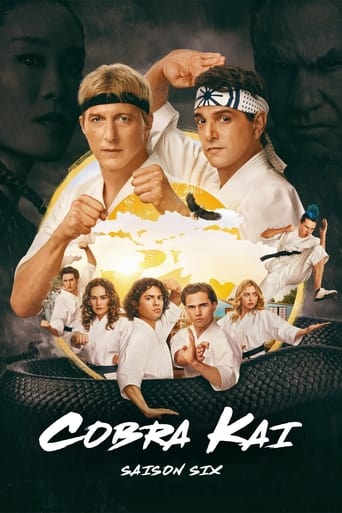 poster serie Cobra Kai - Saison 6
