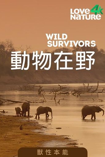 Animal Allure poster