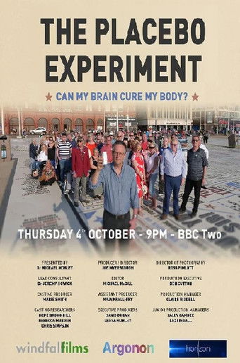 地平线系列：安慰剂试验 poster