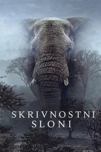 Skrivnostni sloni