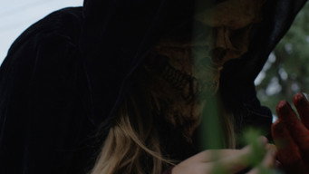 Observer (2021)