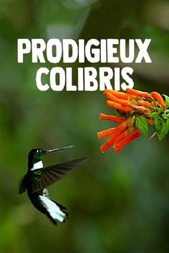 Prodigieux colibris