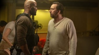 Galeria 4 - Instinto predador