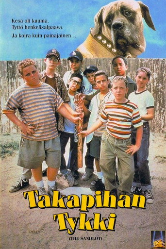 Takapihan tykki