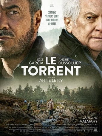 torrent poster