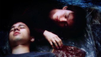 Вздовж річки (2004)