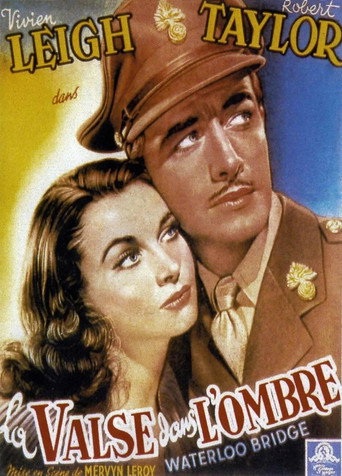 La Valse dans l'ombre - affiche officiel