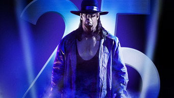 WWE Survivor Series (2015)
