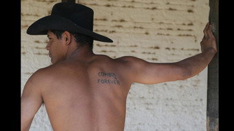 Cowboy Forever (2006)