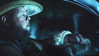 The Python Hunt (2025)