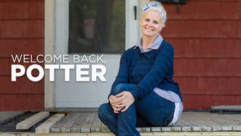 Welcome Back Potter (2016- )