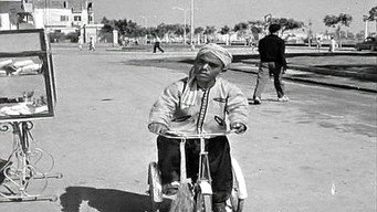 #32 Son of Hamido
