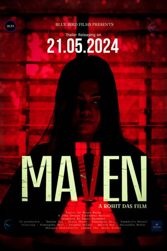 Maven galeri 5