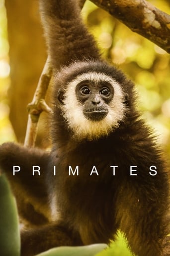 Primates en streaming 