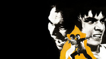 Двоє героїв Шаоліня (1974)