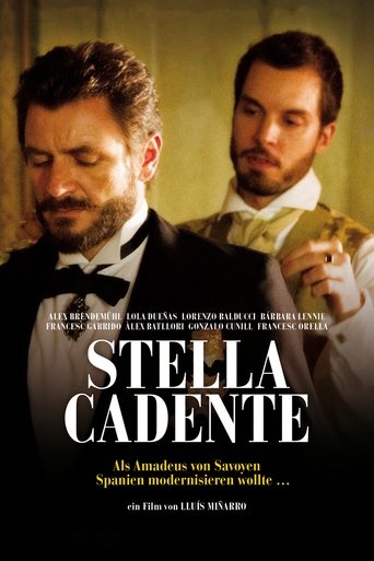 Stella cadente