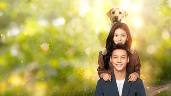 照亮你 (2023) 予告編