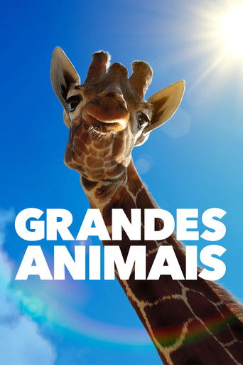 Cena de Grandes Animais