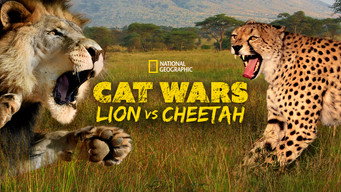 #4 Cat Wars: Lion Vs. Cheetah