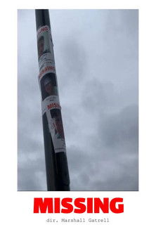 MISSING poster