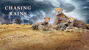 #12 Chasing the Rains