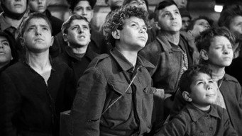 #15 Чистильники взуття