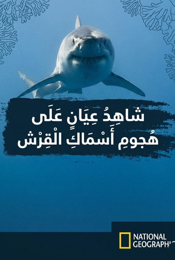 Eyewitness Shark Attacks