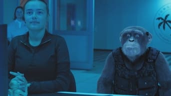 Шимпанзе під прикриттям (2021)