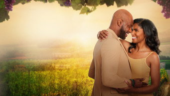 Napa Ever After (2023)