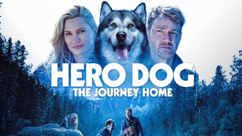 Galeria 4 - Hero Dog: The Journey Home