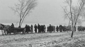 Mother's Field (1968)