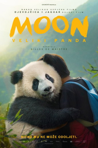 Moon: Veliki panda