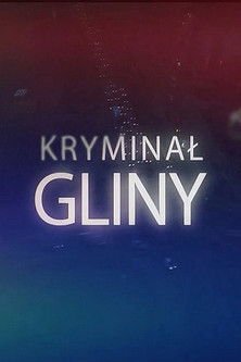 Kryminał: Gliny poster
