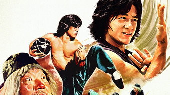 Drunken Master backdrop 3