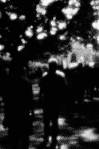 through a looking glass poster