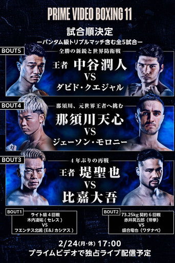 PRIME VIDEO BOXING 11 (2025)