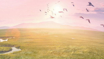 #15 Планета Земля 3