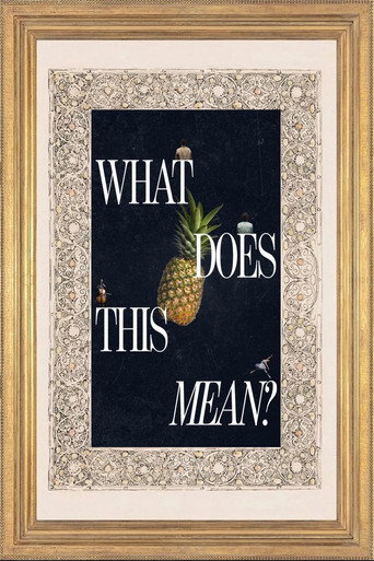 What Does This Mean? poster