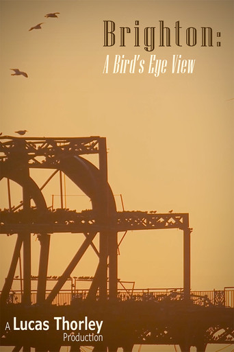 Brighton: A Bird's Eye View (2023)